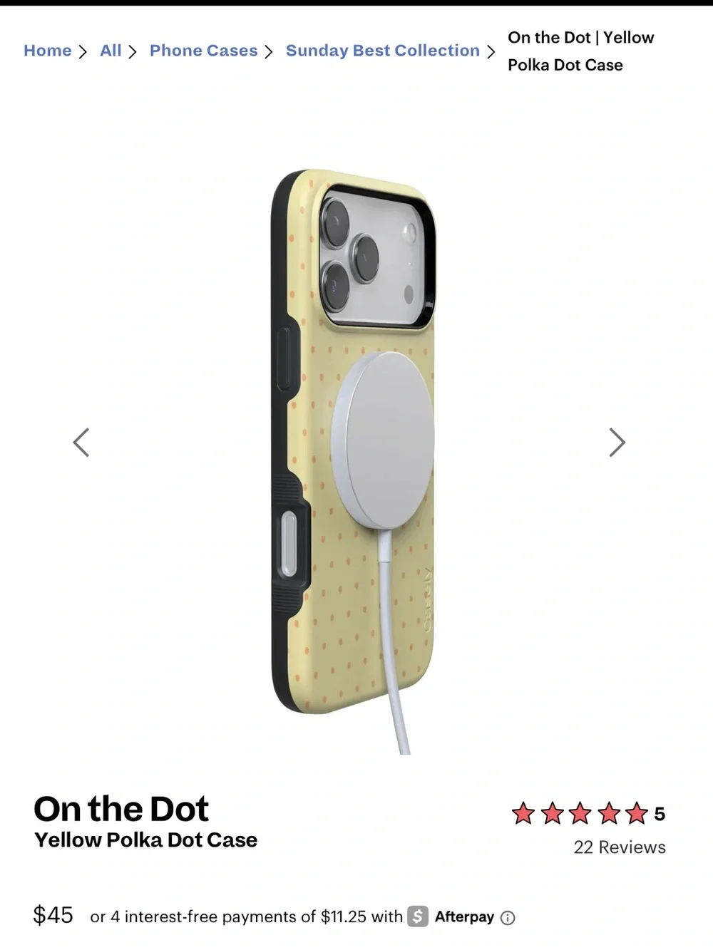 Casely - on the dot case